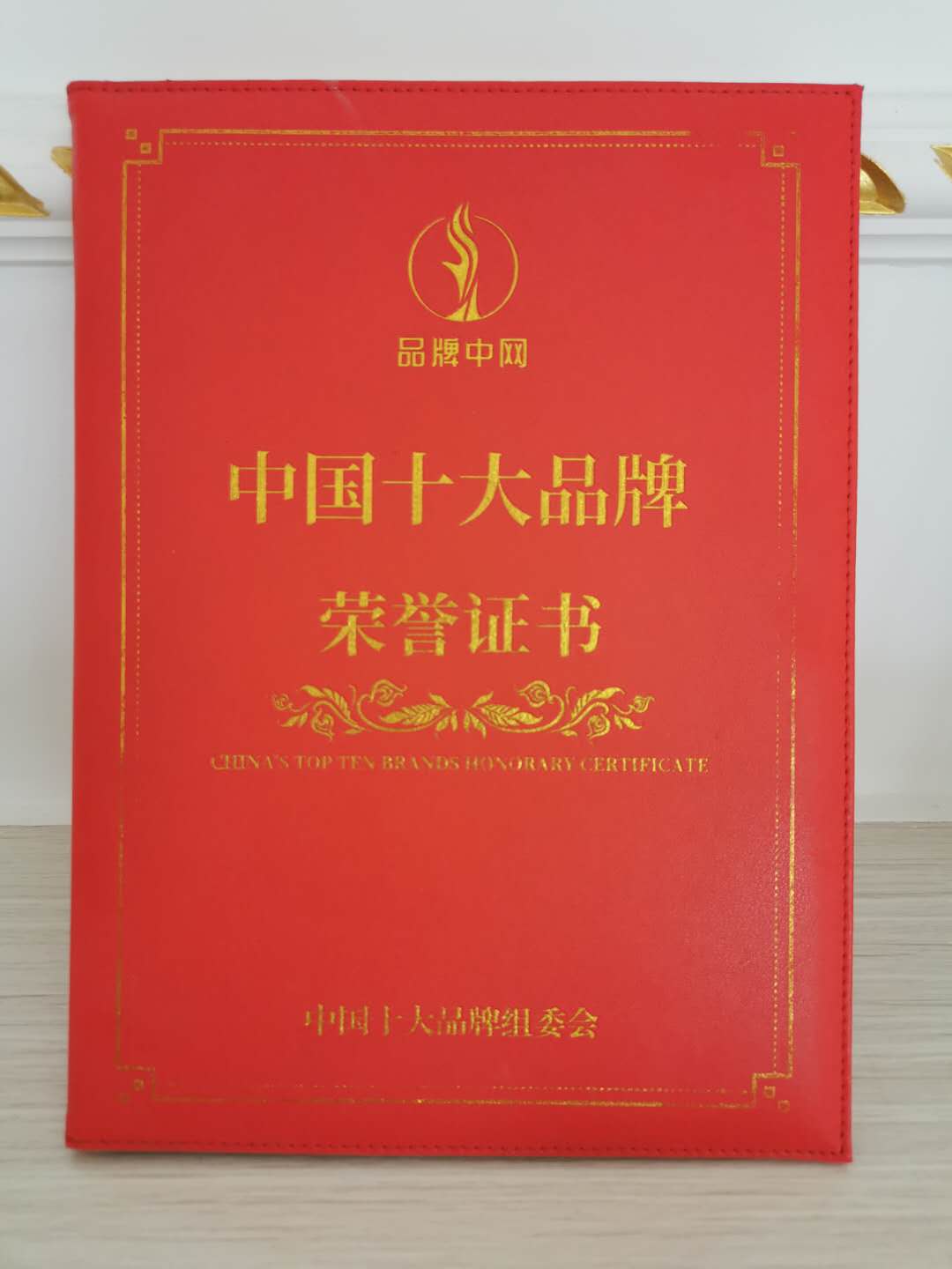 中國(guó)十大品牌
